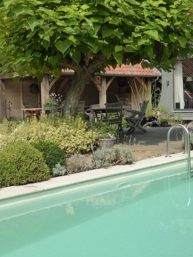 De Epicurist Bed & Breakfast ฮัสเซลต์ ภายนอก รูปภาพ
